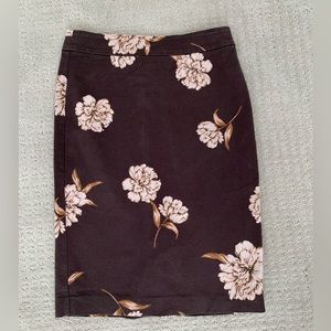 Ann Taylor Pencil Skirt